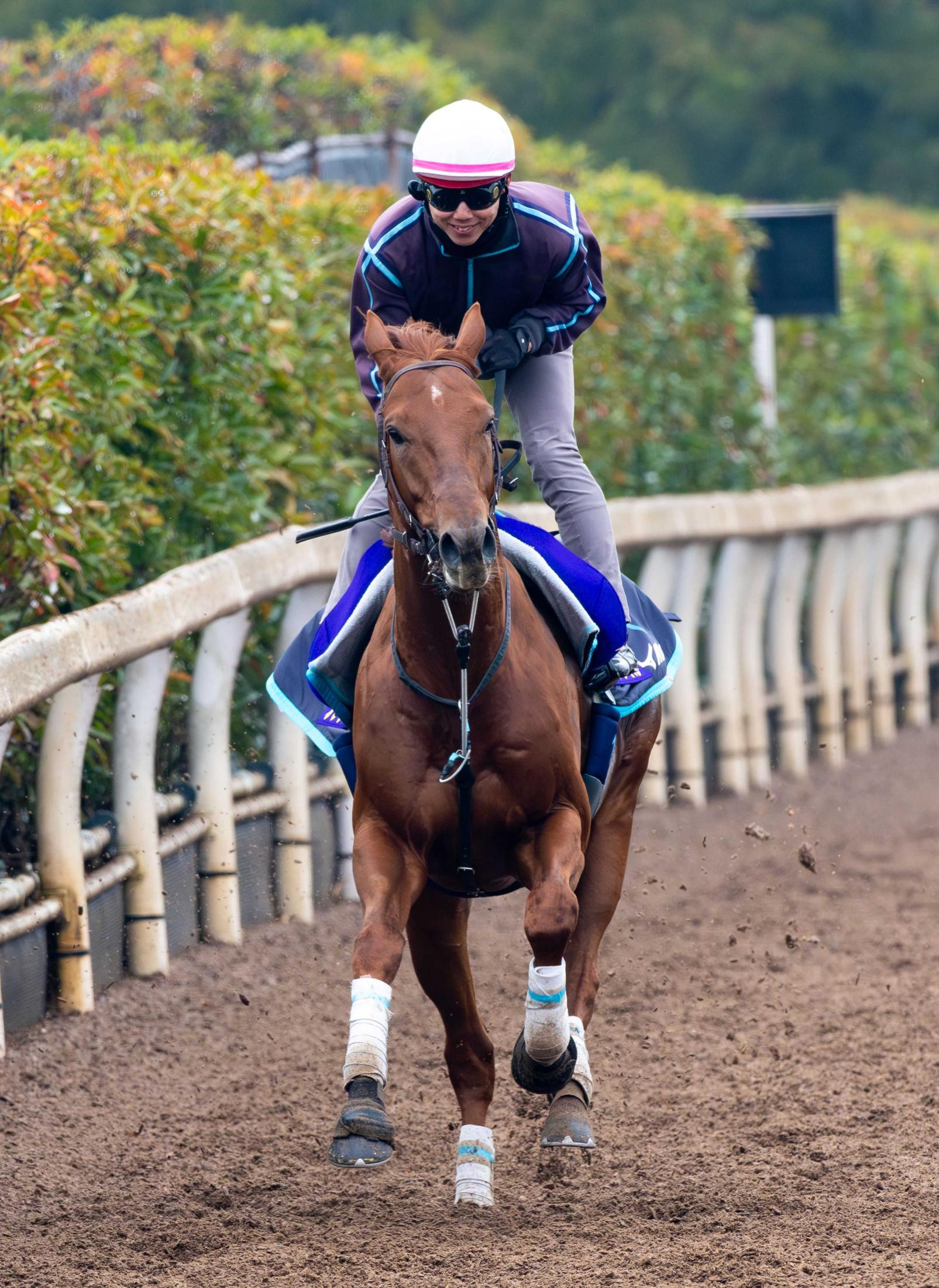 【有馬記念】ダノンデサイル　レコード決着の反動なし　安田師「より穏やかに」時計よりも精神面重視　体力面むしろ上積み