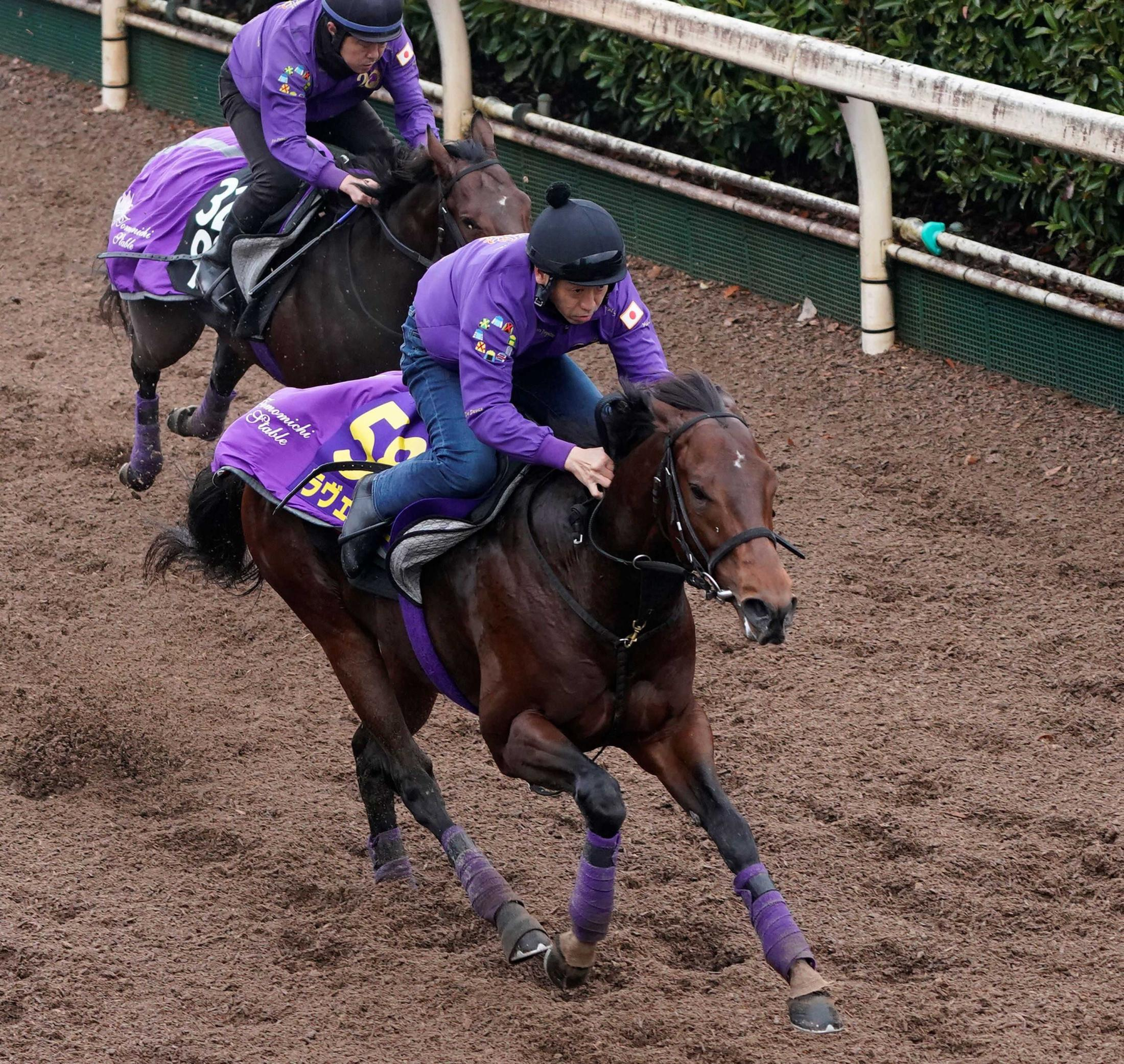 【ホープフルＳ】ラヴェニュー　仕上がり順調！来春の主役の座狙う　漂う大物感に友道師「２歳馬離れしている」