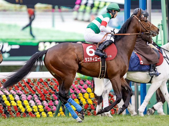 【有馬記念】大外の「8枠」にはエルトンバローズとタスティエーラ 枠順抽選会2025