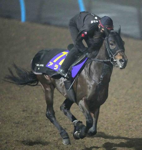 【有馬記念】(14)アラタ　大外じゃなくて良かった　キャリア豊富な古豪が初の夢舞台に