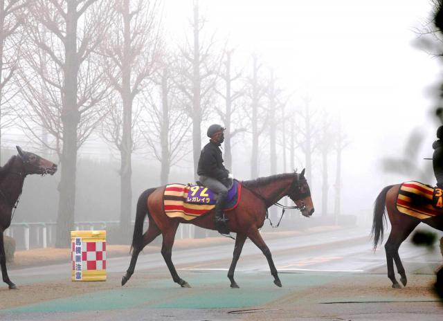 【有馬記念・考察】1番人気濃厚のレガレイラだが牝馬のリピーターは…　連勝中でも気になるポイント