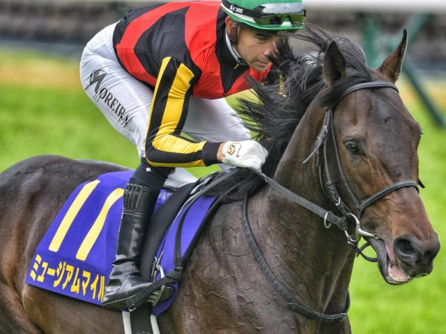 【有馬記念】史上初のミスプロ系Vなるか ミュージアムマイルなど4頭が参戦