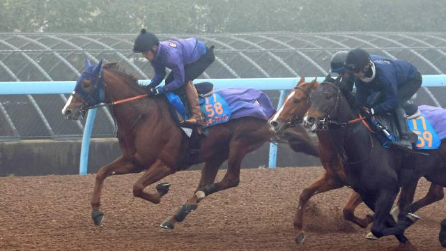 【東京大賞典】1着賞金1億円!3連勝中ミッキーファイトは7枠13番　韓国でV大井ディクテオンは5枠10番　枠順確定