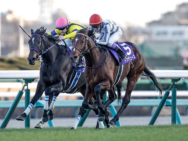 【有馬記念の過去10年データ】「内枠有利 外枠不利」が決まり文句 軸は内枠から中間枠で