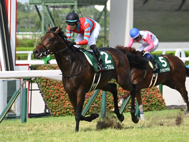 【京都金杯想定馬・騎手】キープカルム、トロヴァトーレなど23頭