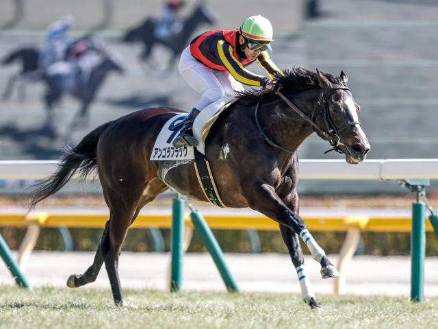 【中山金杯想定馬・騎手】アンゴラブラック、カネラフィーナなど15頭