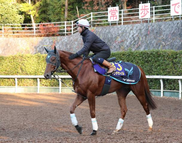 【有馬記念】(9)ダノンデサイル　前走の反動なし　安田師「最終コーナーで内外に馬がいる形が理想」