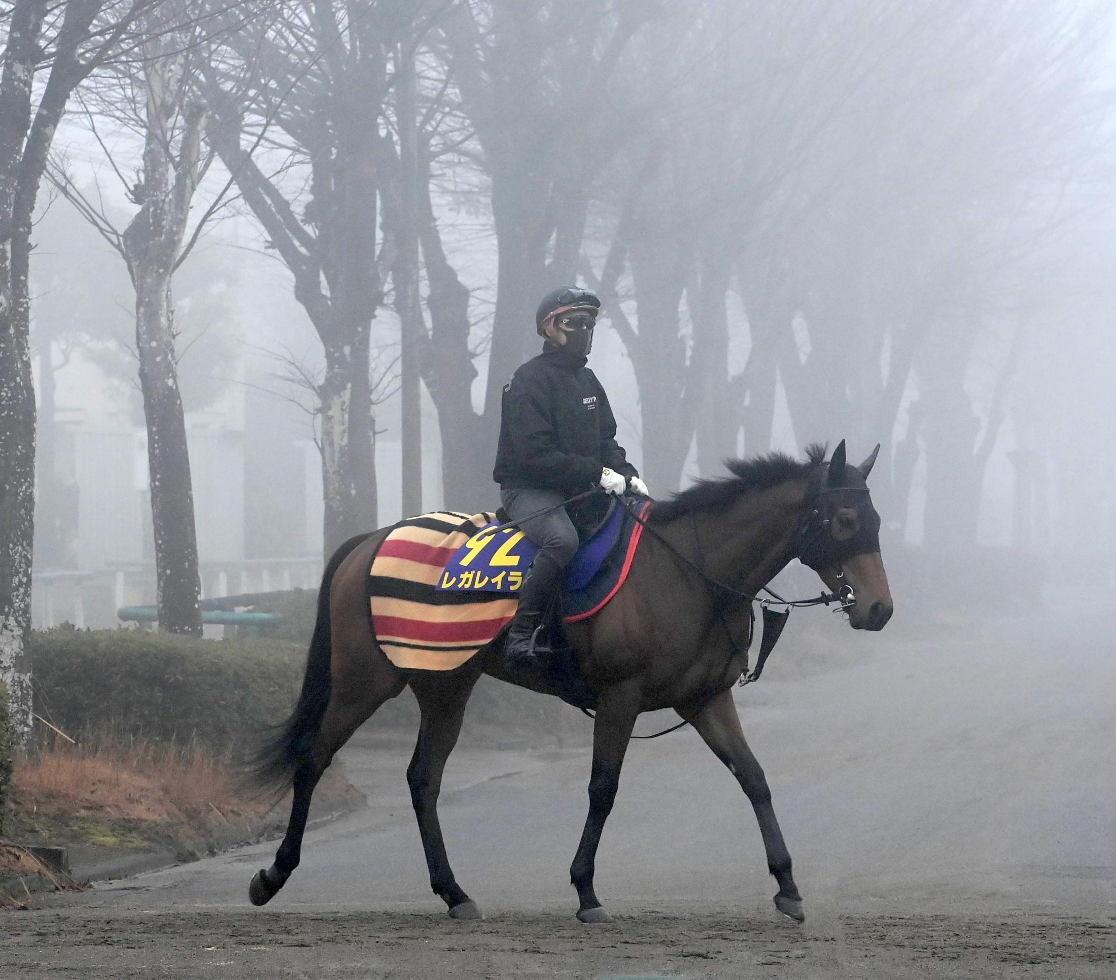 【有馬記念】レガレイラ　史上初の牝馬連覇へ好調間違いなし　木村師「古馬になってたくましさを感じる」