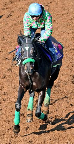 【有馬記念・考察】メイショウタバルがカギ握る展開　「今の中山は絶対に内」も緩やかな流れなら怖いのは…