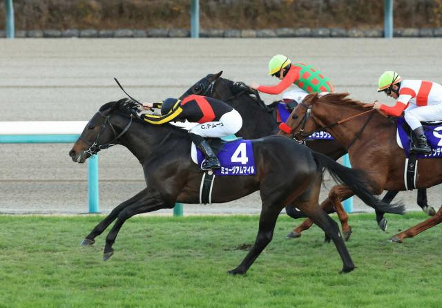 【有馬記念】3歳馬ミュージアムマイルV!鮮やか差し切り「凄くうれしい」C・デムーロ7度目挑戦で初制覇