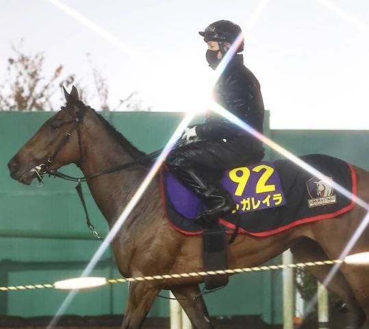 【有馬記念】レガレイラは4着　史上5頭目、牝馬初の連覇ならず　ルメール騎手騎乗で1番人気も