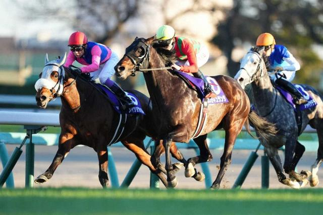 【有馬記念】メイショウタバル　馬群に沈んで13着…武豊「残念」厳しい展開に泣いた