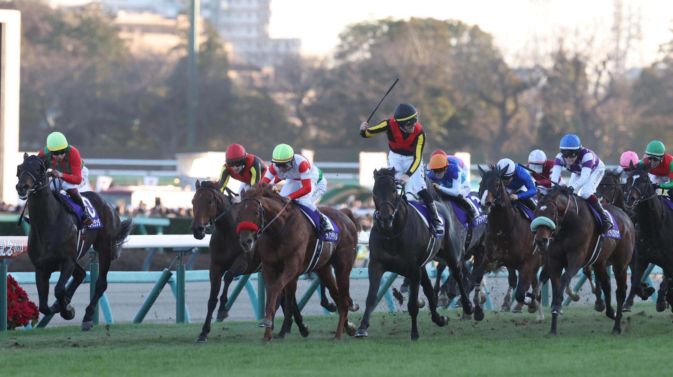 【南井克巳元調教師　豪腕の視点】１年を締めくくるにふさわしいレースだった