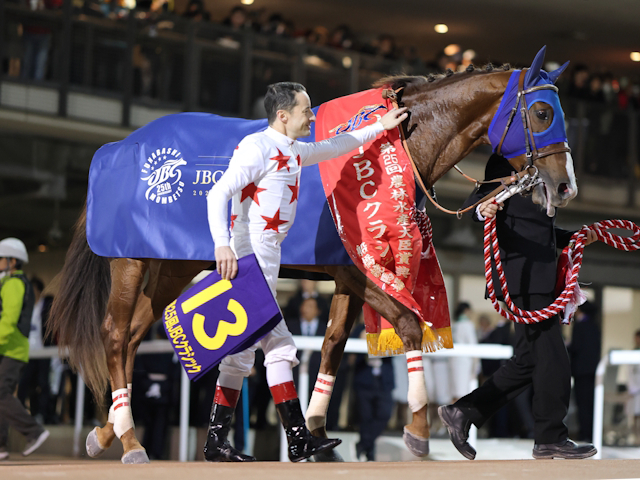 【大井・東京大賞典注目馬】有馬記念が終わってもビッグレースは続く 下半期のダート頂上決戦を制すのは