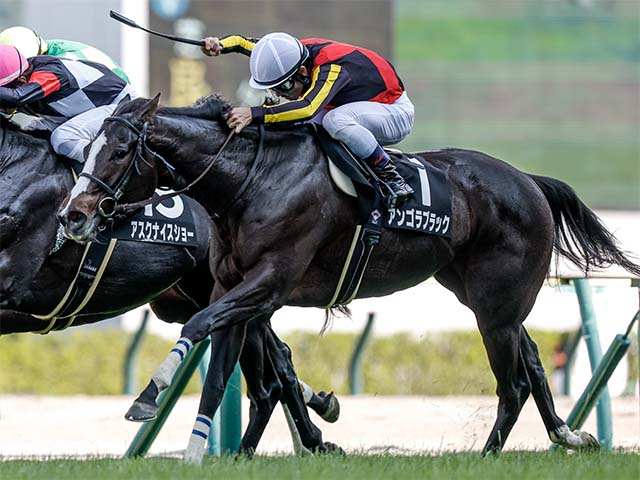 【中山金杯想定騎手】アンゴラブラックは戸崎圭太騎手、カネラフィーナは石川裕紀人騎手