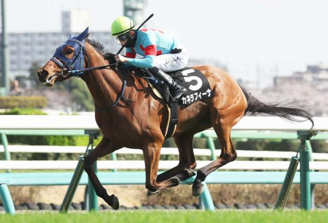 【中山金杯】カネラフィーナ　1走ごとに良化　手塚久師「だいぶキレも出てきた」