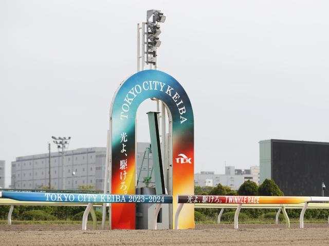 【大井・東京シンデレラマイル結果】4番人気ホーリーグレイルが圧勝で重賞3勝目を挙げる