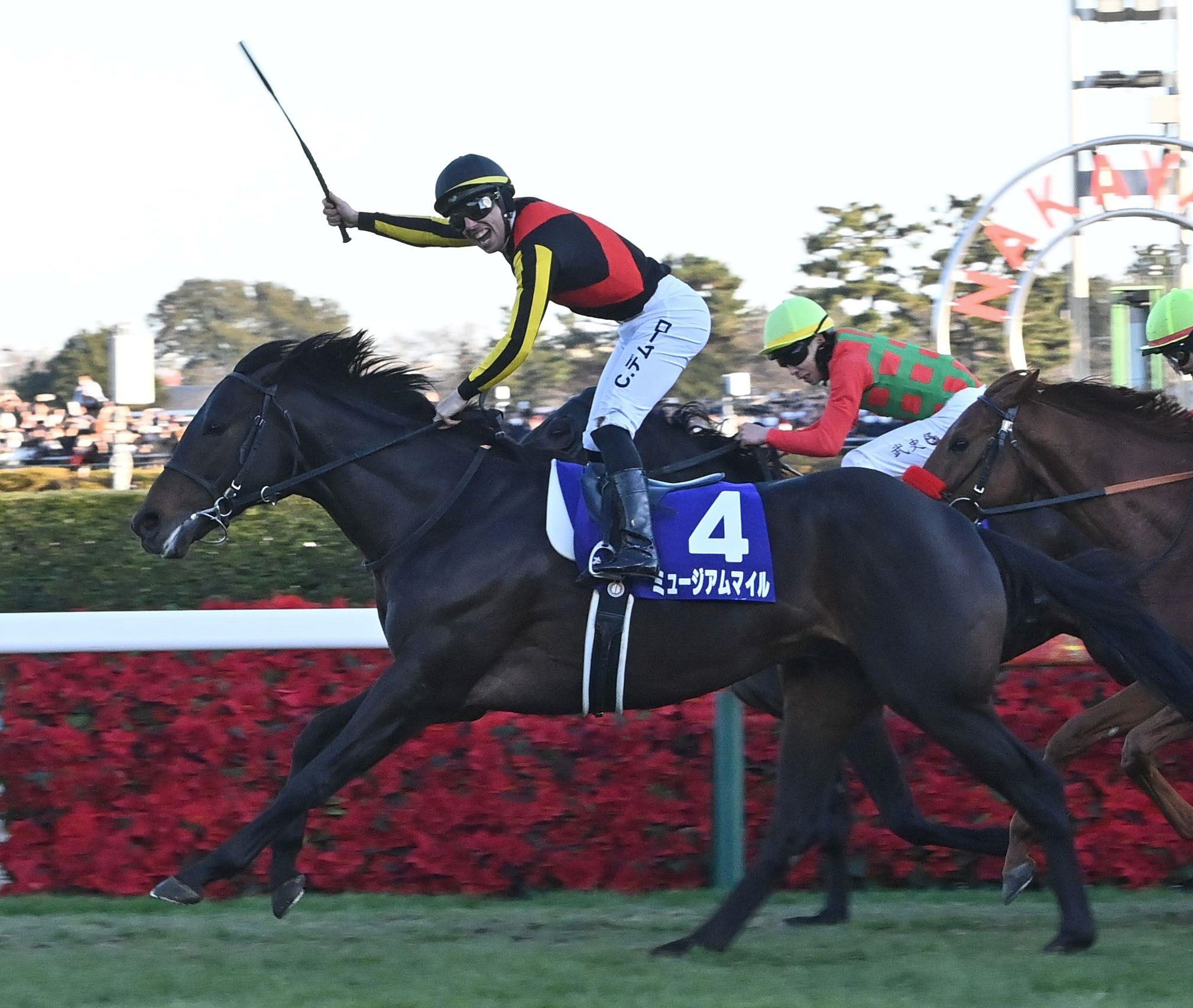 古馬獲得賞金ランキング１位はミュージアムマイル　明け４歳馬が上位独占も　フォーエバーヤングが断トツ“隠れ１位”