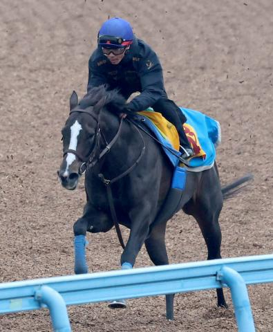 【中山金杯】軽快な動きでアンゴラブラックが引き続き好気配　尾関調教師「すごい良かったです」