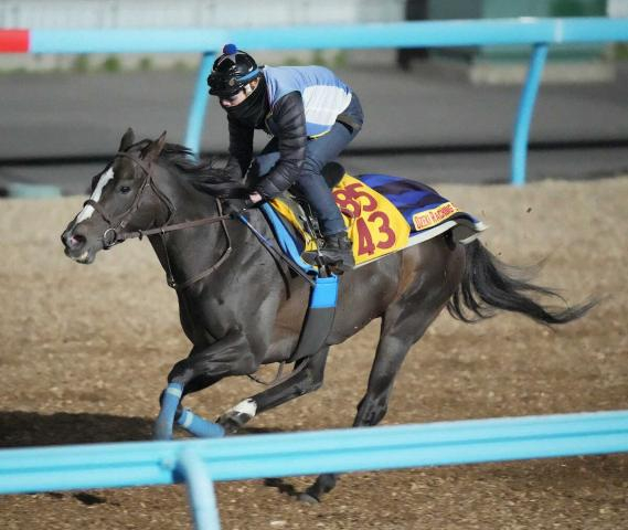 【中山金杯】アンゴラブラック　馬なりで好時計ラスト1F11秒5　尾関師「動きは凄い良かった」