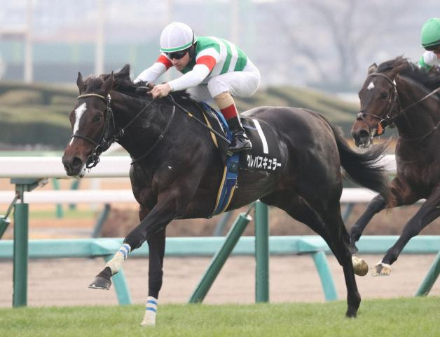 【26年春クラシックを占う】皐月賞を狙えるクレパスキュラー　ダービー候補はベレシート