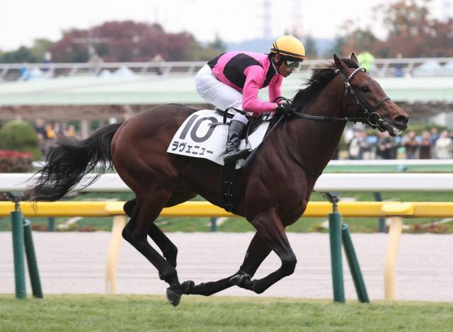 【26年春クラシックを占う】ラヴェニュー大物感たっぷり　操作性良く中山も対応可能