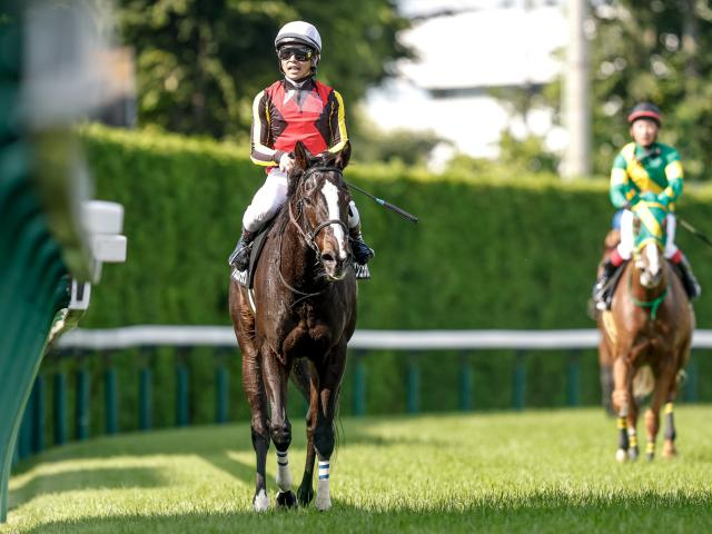 2026年の中央競馬が中山金杯と京都金杯で幕を開ける/今週の競馬界の見どころ