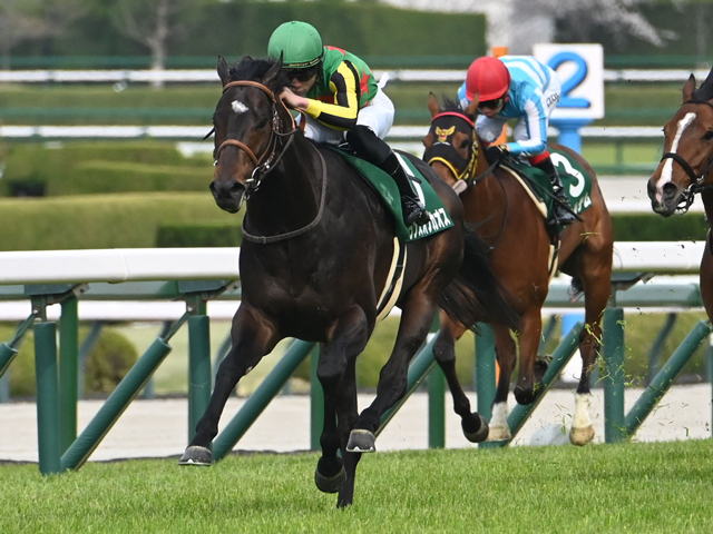 【京都金杯見どころ】安定感抜群のランスオブカオス