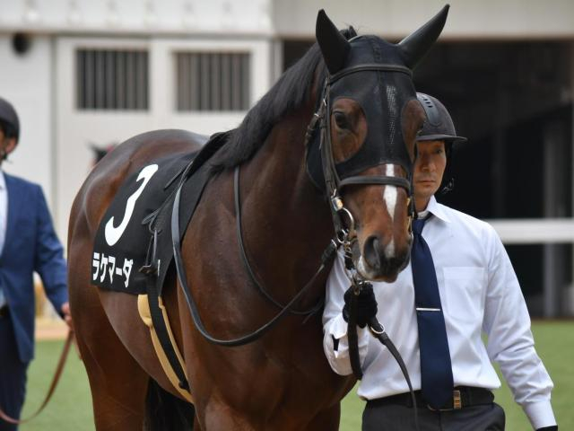 【京都金杯】高杉吏麒騎手が重賞初制覇なるか 伏兵ラケマーダで一発狙う