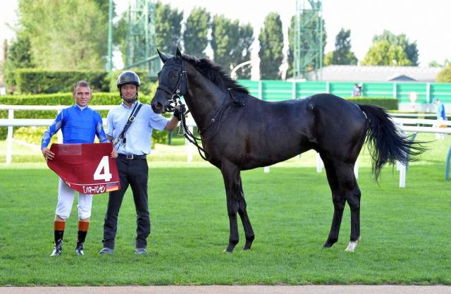トール・ハマーハンセン騎手に短期免許交付　正月開催2日間は計10鞍　京都金杯トロヴァトーレ
