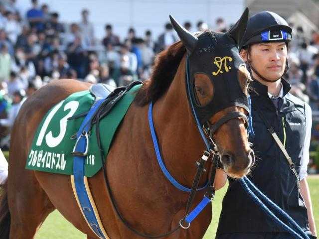 【京都金杯】武豊騎手が史上単独トップの5勝目なるか クルゼイロドスルと初コンビで挑む