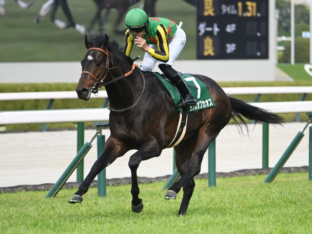 【京都金杯出走馬・騎手確定】ランスオブカオス＆吉村誠之助騎手、キープカルム＆坂井瑠星騎手など18頭