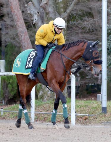 【POG】ベラジオオペラ引退直後に良血のベラジオヴァレルが京都で初陣　上村調教師「まだまだ幼いが、能力はある」