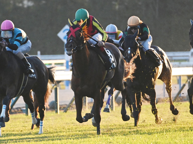 【京都金杯展望】リゲルS組と昇級初戦の勢いある馬に注目
