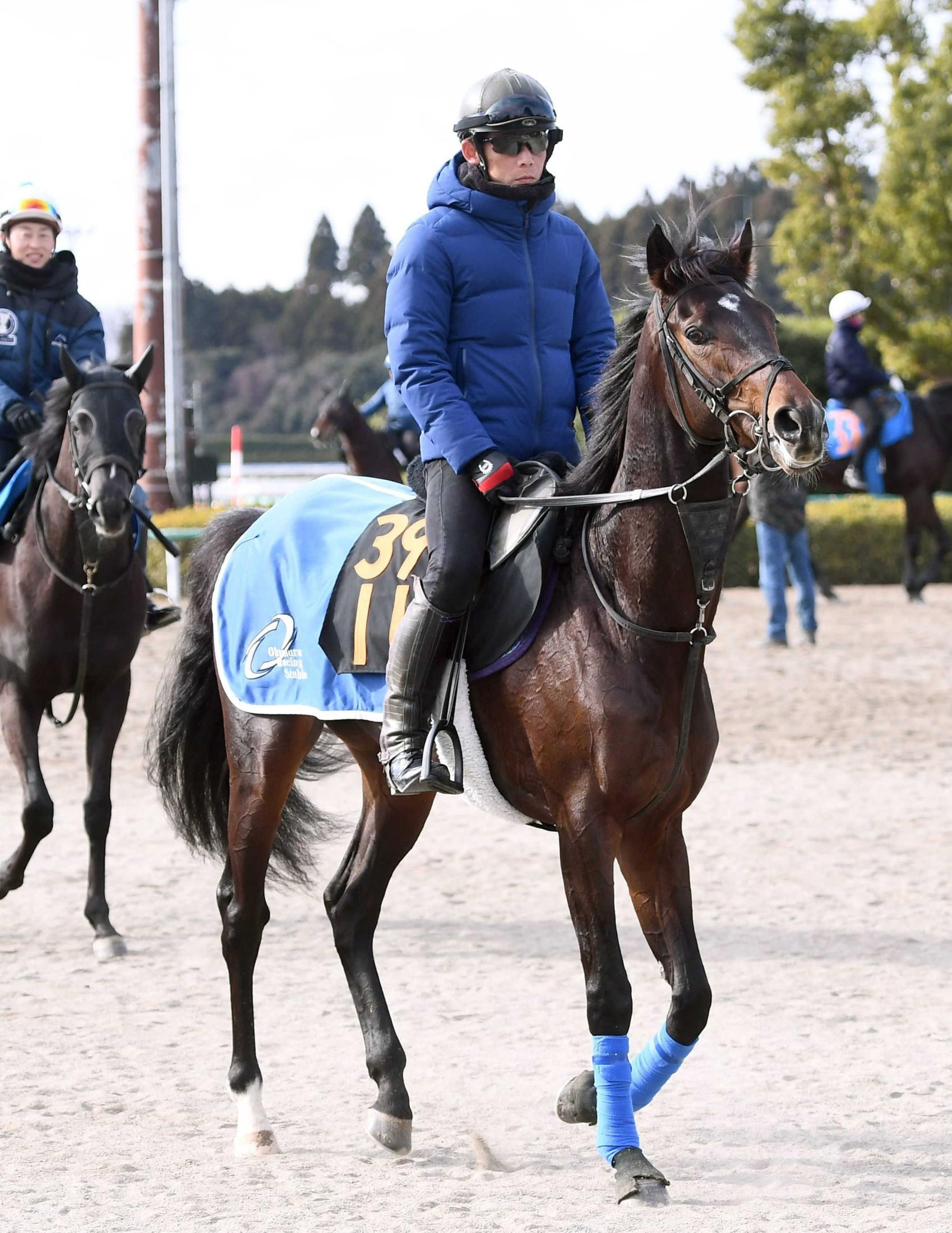 【新馬戦】オービタルピリオド　近親に１４年桜花賞馬ハープスター　奥村武師も初陣Ｖへ自信「素質は相当」