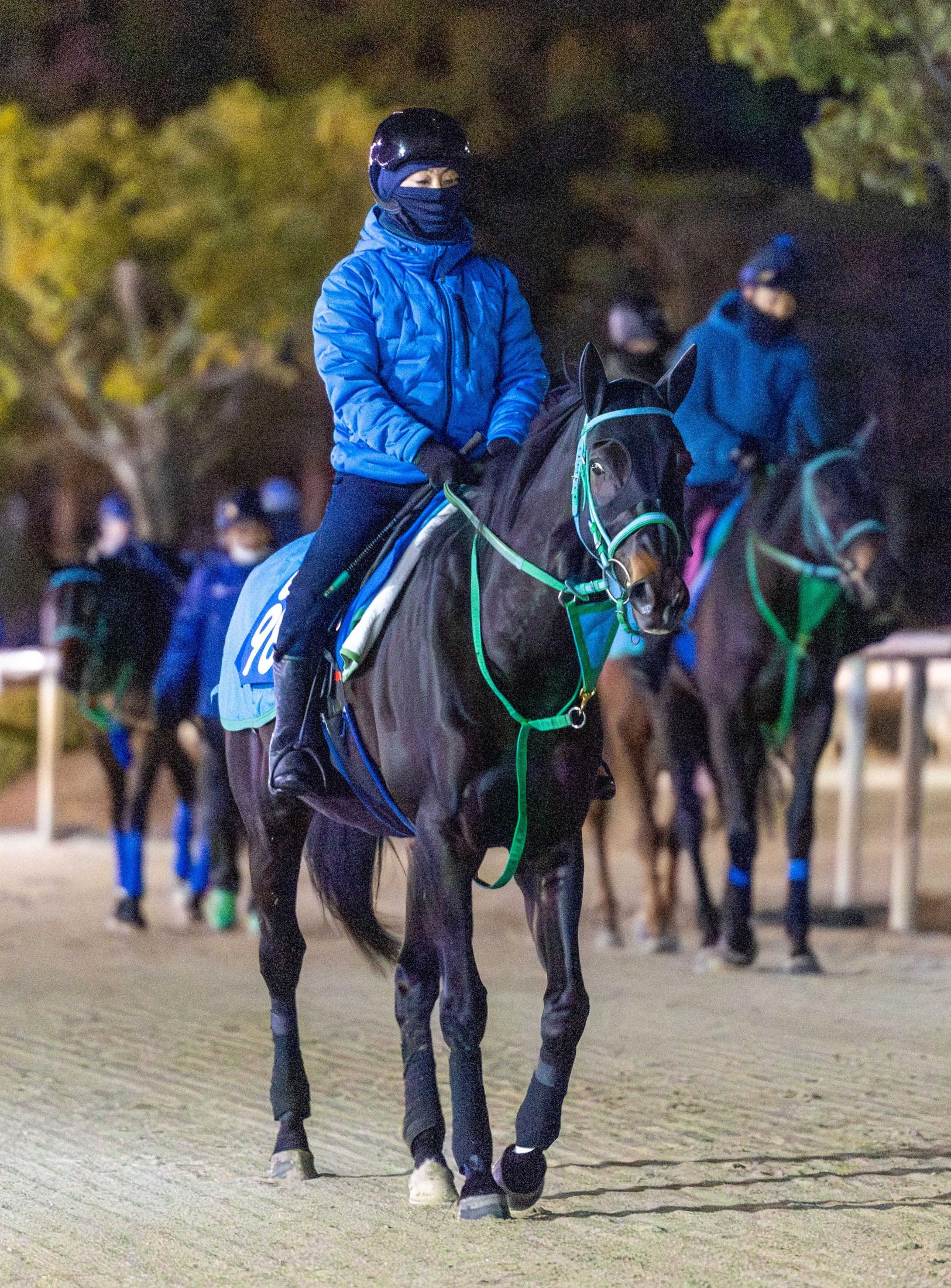 【京都金杯】９歳馬エアファンディタが波乱呼ぶ　池添師笑み「去勢効果ある」　鞍上・藤岡佑は“金杯連覇”へ