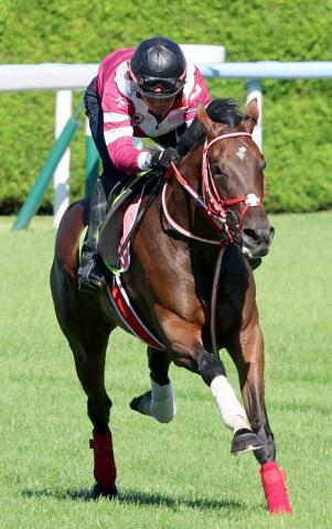 【馬トク報知3歳馬番付】ヤマタケ記者は樫の女王に未勝利馬を抜てき　坂本記者は最後まで国枝厩舎推し