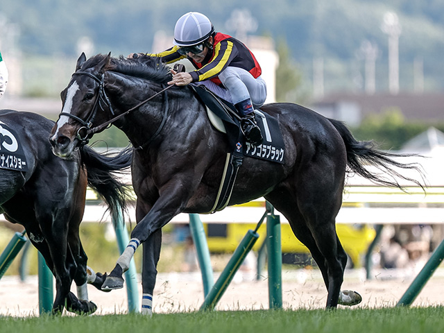 【中山金杯枠順確定】アンゴラブラックは2枠2番、カネラフィーナは3枠3番