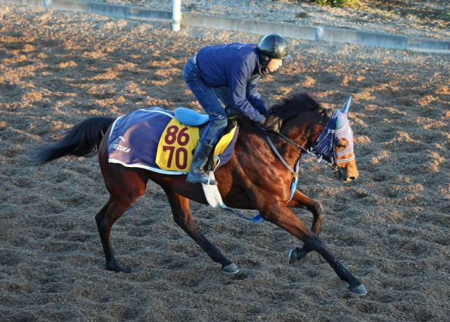 【中山金杯】一気の5連勝を狙うカネラフィーナは3枠3番　重賞初Vを目指すアンゴラブラックは2枠2番