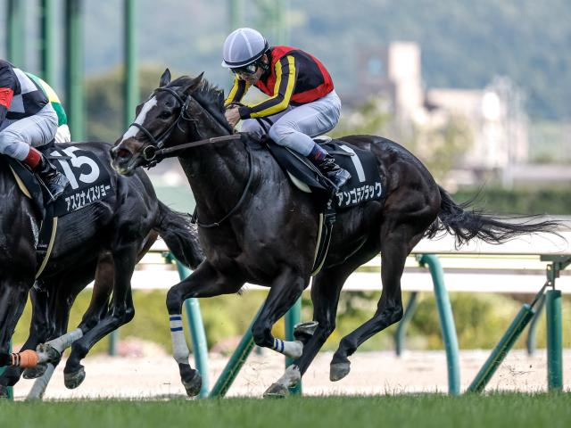 【中山金杯予想】今年の中山金杯は大波乱の可能性あり!? 牝馬が苦戦するのは開催日程が要因