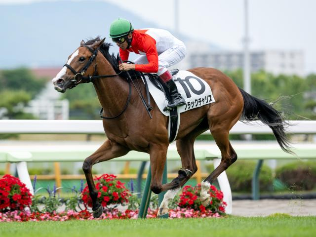 【フェアリーS想定馬・騎手】ブラックチャリス、ギリーズボールなど18頭