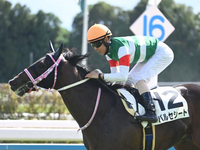 【シンザン記念想定馬・騎手】バルセシート、モノポリオなど17頭