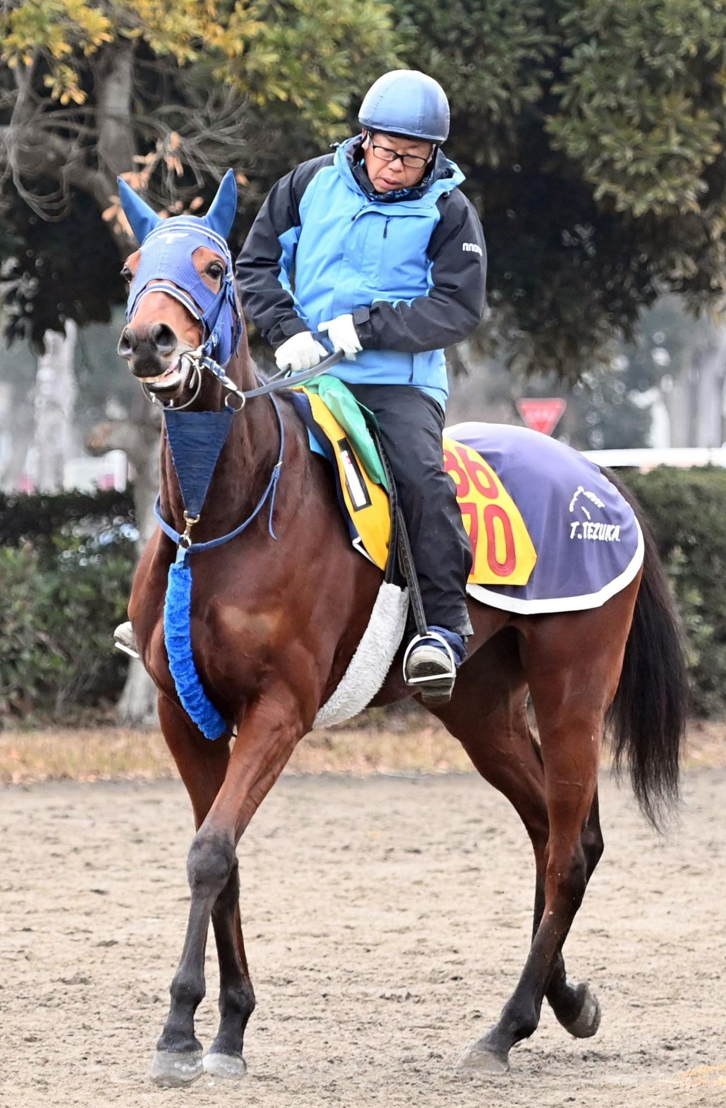 【中山金杯】カネラフィーナ　充実一途　５連勝での重賞奪取へ３枠３番も歓迎