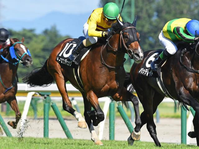 【中山金杯予想】大阪杯などにつながる登竜門