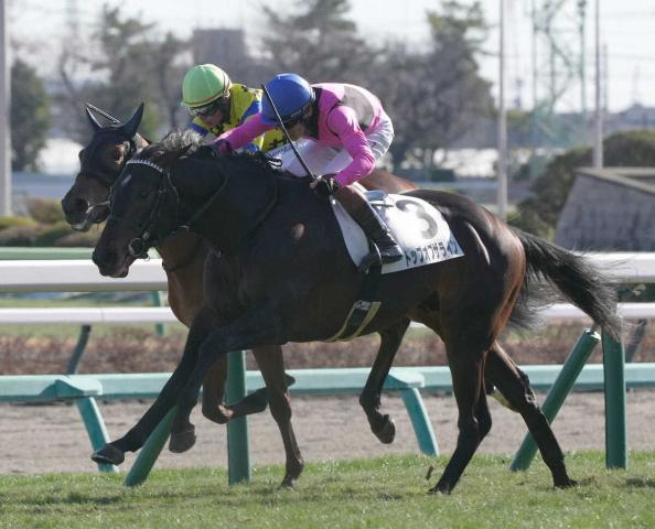 【中山6R・新馬戦】7番人気トップオブザラインが初陣V!三浦「良くなる要素を凄く残している」