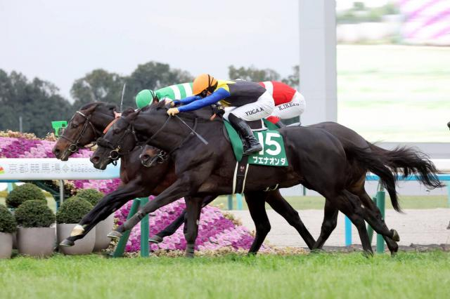 【京都金杯】3連単は109万6640円と大荒れ!ブエナオンダが重賞初制覇　川田将雅騎手は21年連続の重賞V
