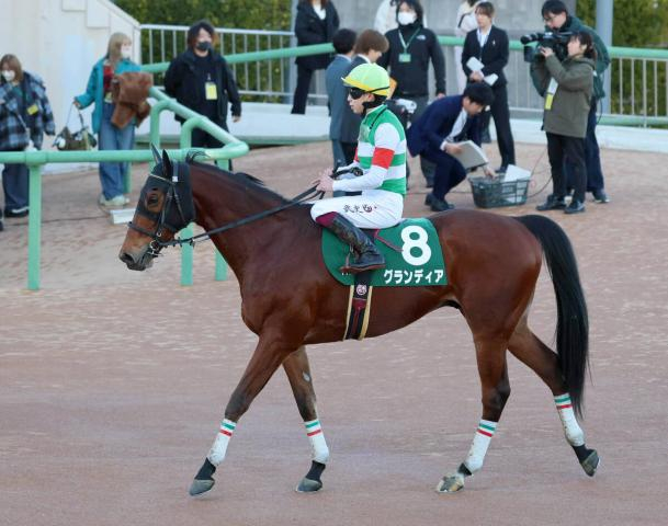 【中山金杯】グランディアは最速タイの末脚もタイム差なしの3着　横山武史騎手「着差が着差だけに、ちょっと残念」