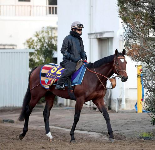 23年の日本ダービー馬タスティエーラが競走馬登録を抹消　優駿スタリオンステーションで種牡馬に