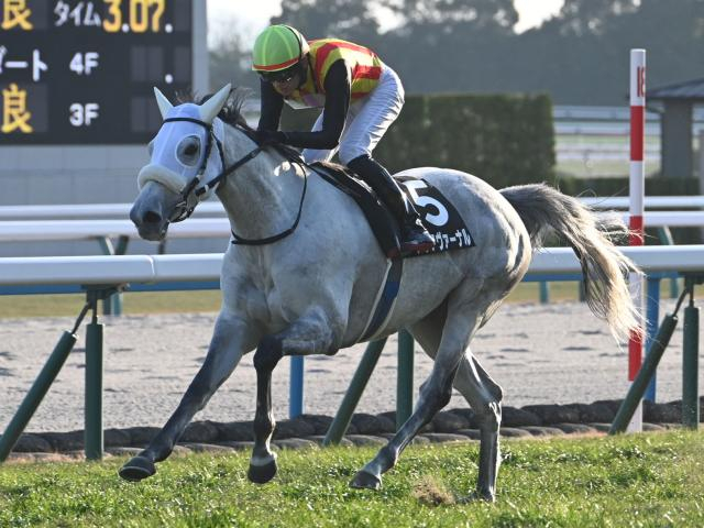 【万葉S結果】アクアヴァーナルが格上挑戦で完勝