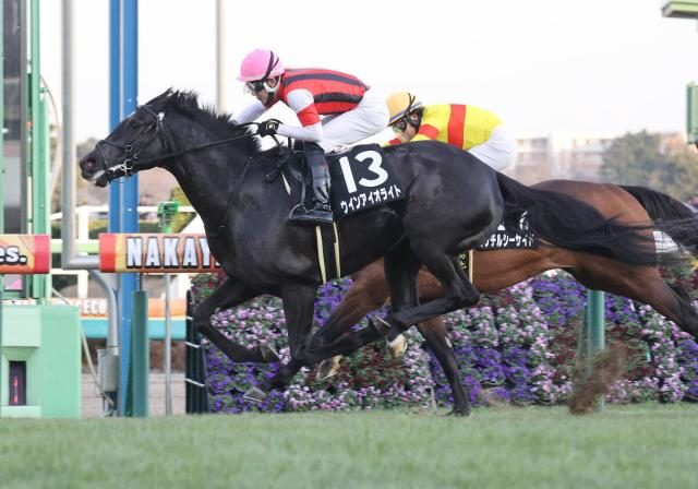 【サンライズS】全兄がG1を勝った舞台でウインアイオライトが一変　丹内祐次騎手「距離を詰めたらいい脚が使えると」